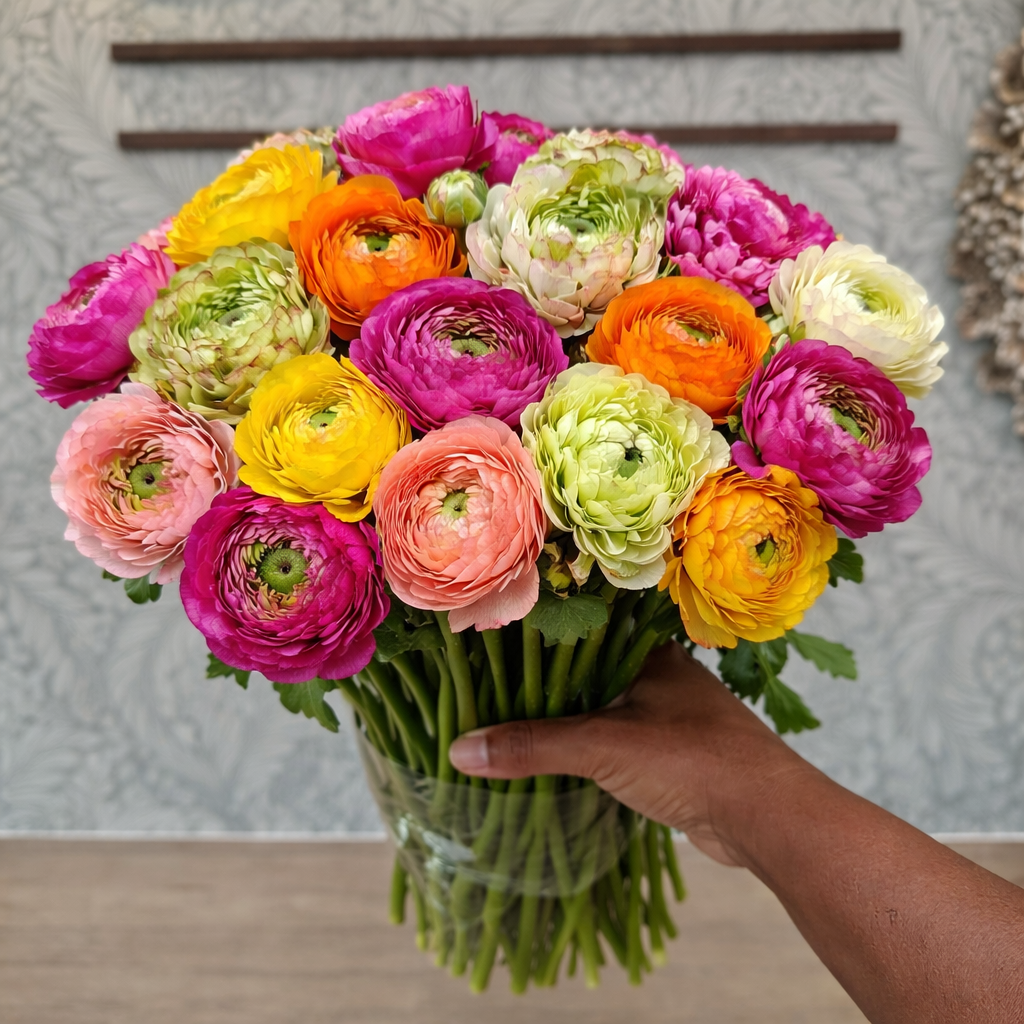 Peach Ranunculus Flowers UK | Seasonal Spring Blooms
