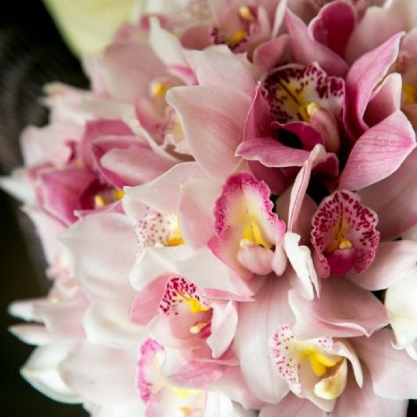 Luxury Orchid Bouquet – The Perfect Statement Piece