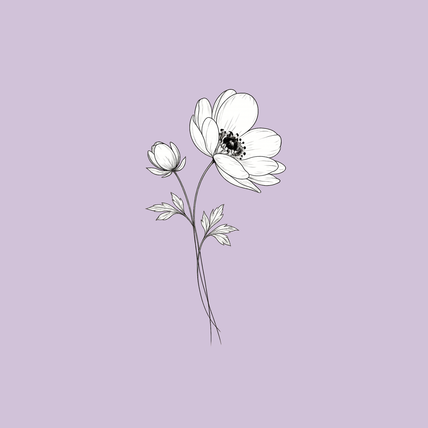 April - Anemone