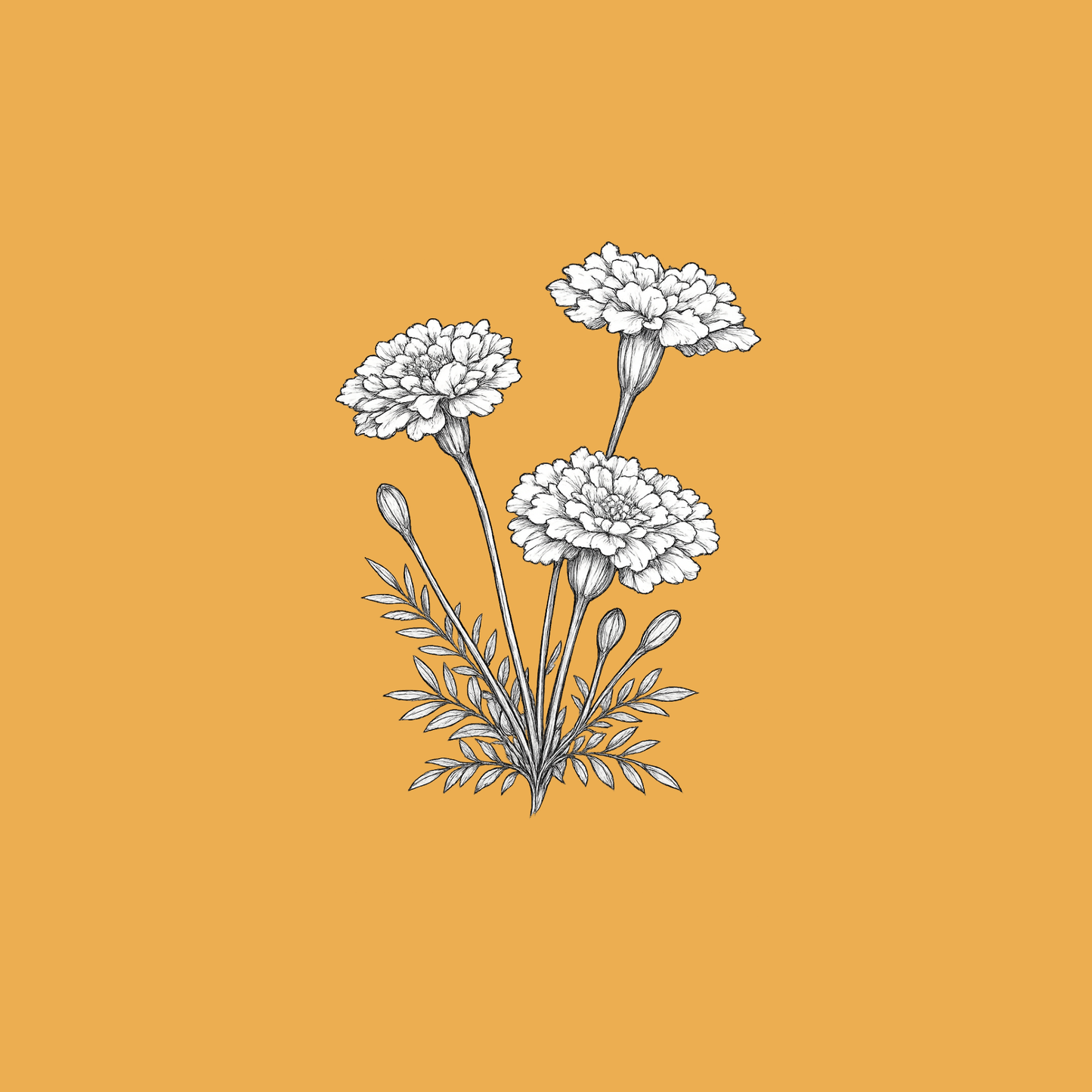 October — Marigold