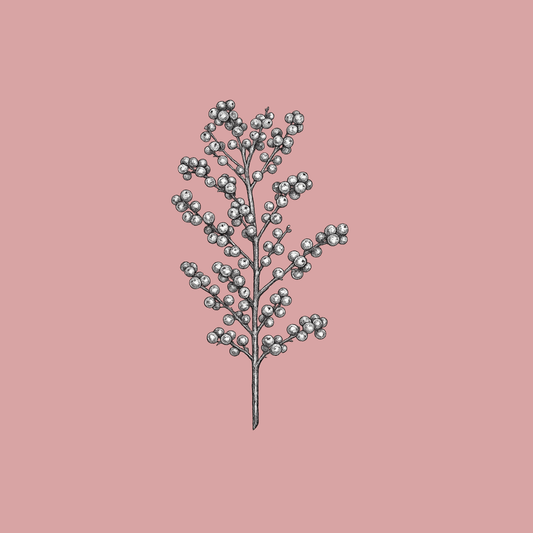 November — Winterberry