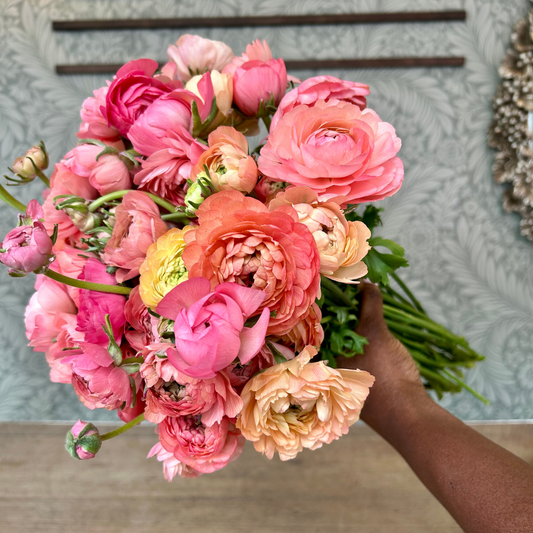 Peach Ranunculus Flower