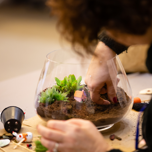 Terrarium Making Workshop